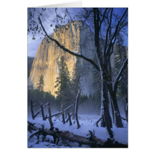 YOSEMITE NATIONAL PARK, CALIFORNIA. USA. Light
