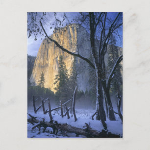 YOSEMITE NATIONAL PARK, CALIFORNIA. USA. Light Postcard