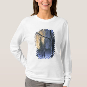 YOSEMITE NATIONAL PARK, CALIFORNIA. USA. Light T-Shirt