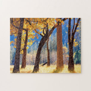 Yosemite National Park Jigsaw Puzzle