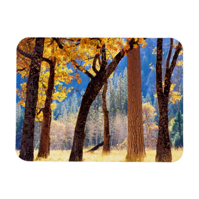 Yosemite National Park Magnet (Horizontal)