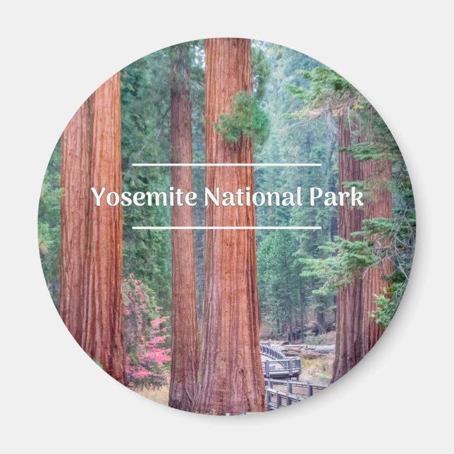 Yosemite National Park Round Magnet (Front)