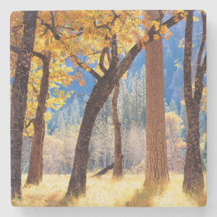 Yosemite National Park Stone Coaster