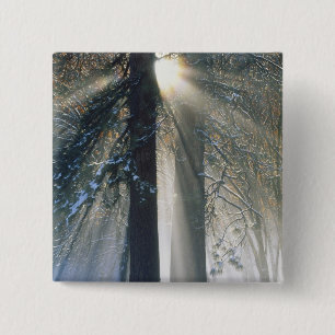 Yosemite National Park - Sun rays streaming 15 Cm Square Badge