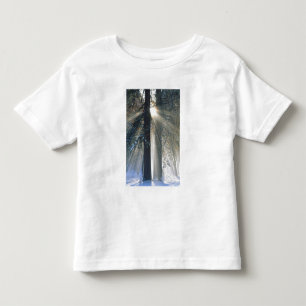 Yosemite National Park - Sun rays streaming Toddler T-Shirt