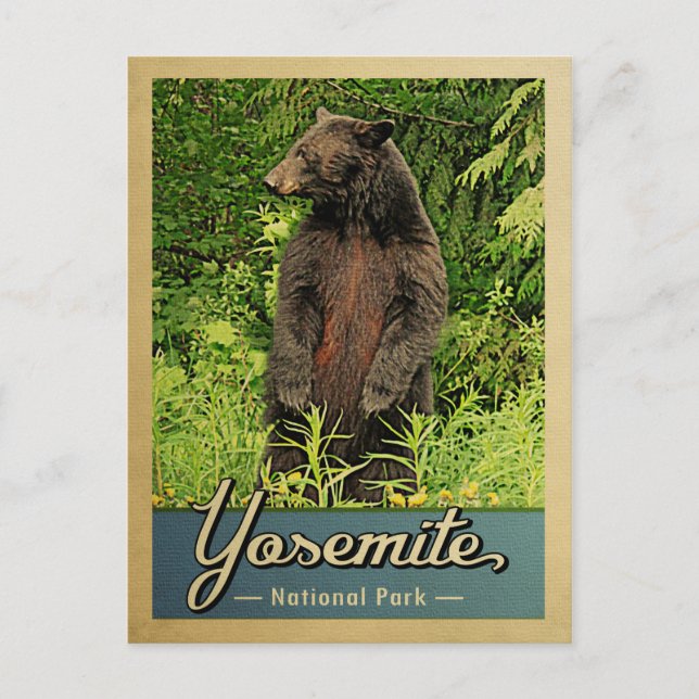 Yosemite National Park Vintage Bear Postcard (Front)