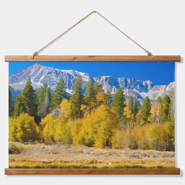 Yosemite National Park's Tioga Pass Hanging Tapestry (Front)