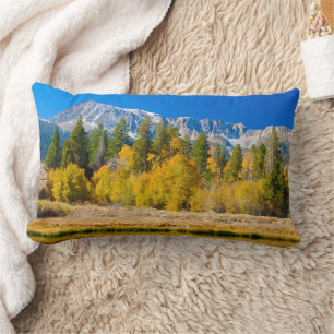 Yosemite National Park's Tioga Pass Lumbar Cushion
