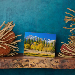 Yosemite National Park's Tioga Pass Plaque