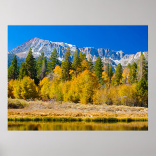 Yosemite National Park's Tioga Pass Poster