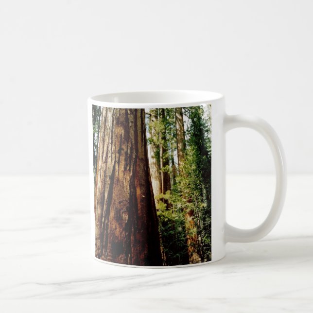 Yosemite Redwoods Coffee Mug (Right)