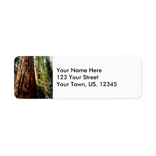 Yosemite Redwoods Return Address Label (Front)
