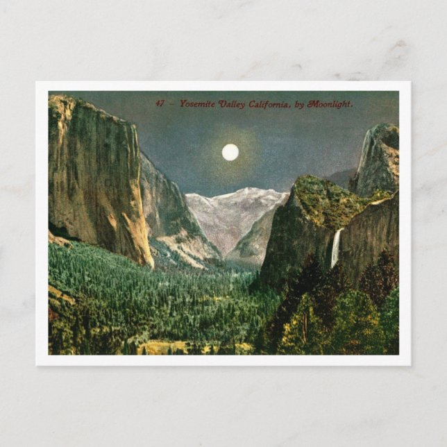 Yosemite Valley by Moonlight 1910s Postcard (Front)