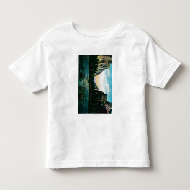 Yosemite Valley from Bridal Veil Meadow Toddler T-Shirt (Front)