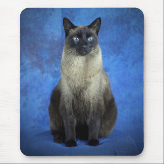 Yoshi the Siamese Kitty Cat Kitten Mousepad