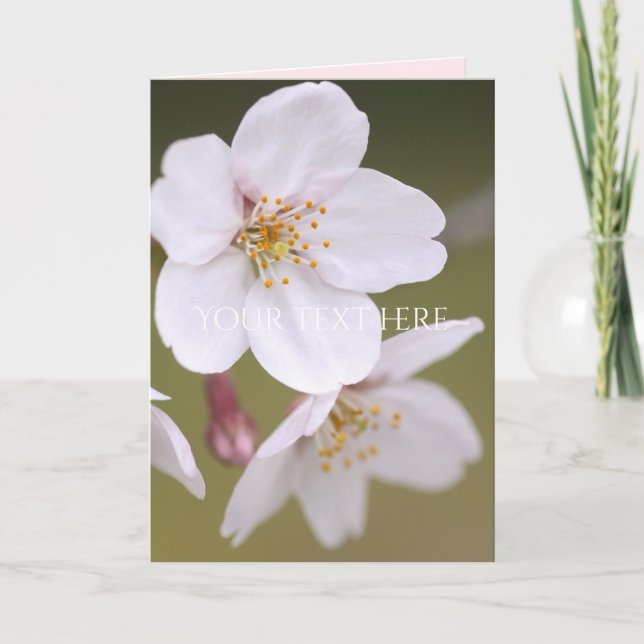 Yoshino Cherry Card (Front)