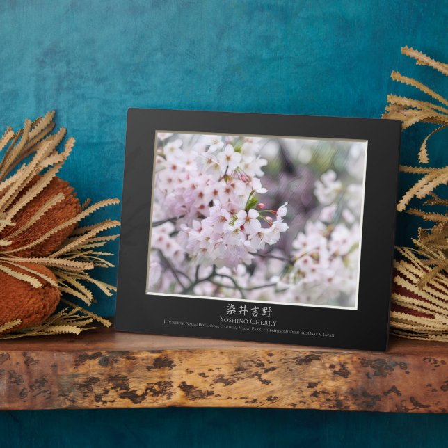 Yoshino Cherry Plaque (Side)