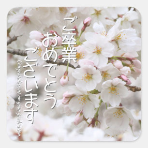 Yoshino Cherry Square Sticker