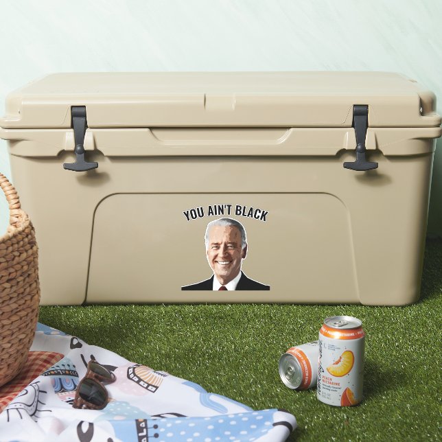 YOU AIN'T BLACK JOE BIDEN DIE CUT DECAL STICKERS (Cooler)