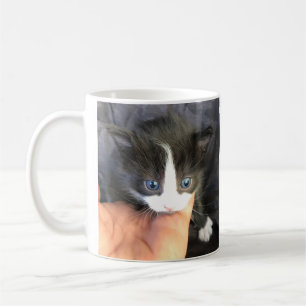 You amaze me! Kitten Coffee Mug