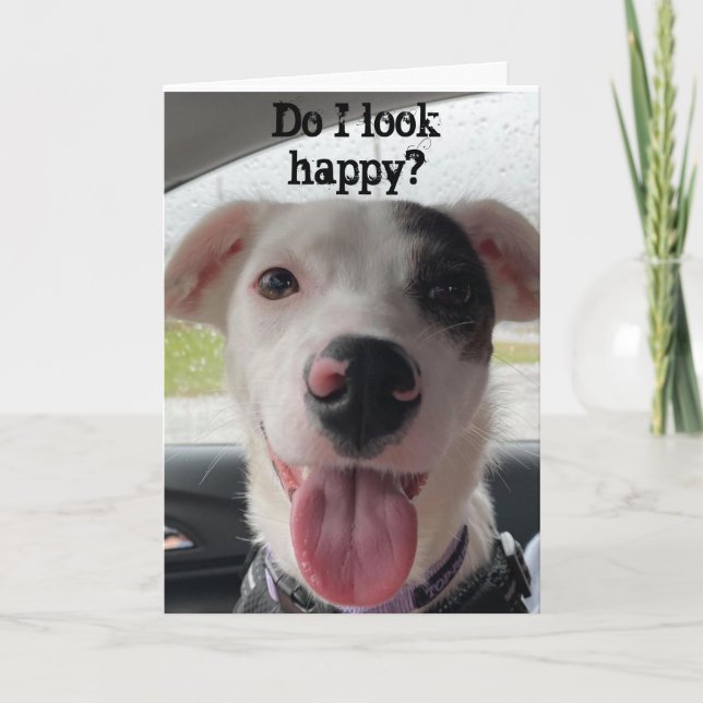 YOU ARE **60** MAKES ME HAPPY OF COURSE CARD (Front)