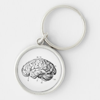 You are a Brain Key Ring