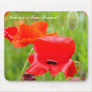 You are a True Friend! mousepad Red Poppy Flowers