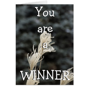 You are a WINNER