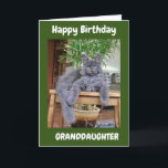 YOU ARE AMAZING **GRANDDAUGHTER** BIRTHDAY CARD<br><div class="desc">THANK YOU SO MUCH FOR STOPPING BY ONE OF MY EIGHT STORES!!!</div>