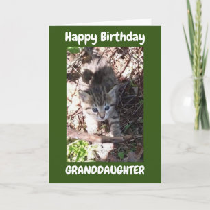 YOU ARE AMAZING **GRANDDAUGHTER** BIRTHDAY CARD