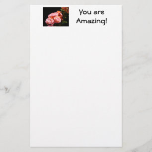 You are Amazing! stationery Pink Roses gifts