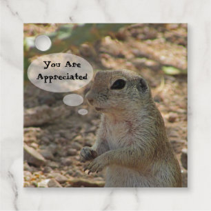 You Are Appreciated Ground Squirrel Animal Thanks Favour Tags