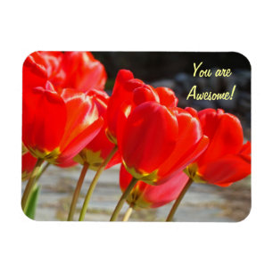 You are Awesome! magnet Red Tulip Flowers