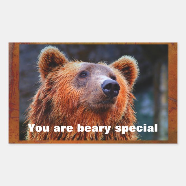 You Are Beary Special Brown Bear wildlife Portrait Rectangular Sticker (Front)