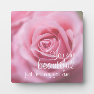 You Are Beautiful Just The Way You Are & Pink Rose Plaque