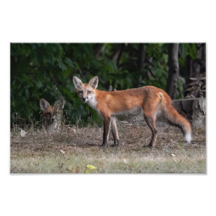 You Are Being Watched Photo Print