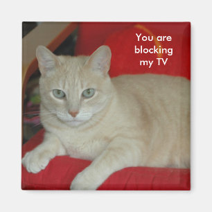 You are blocking my TV Magnet