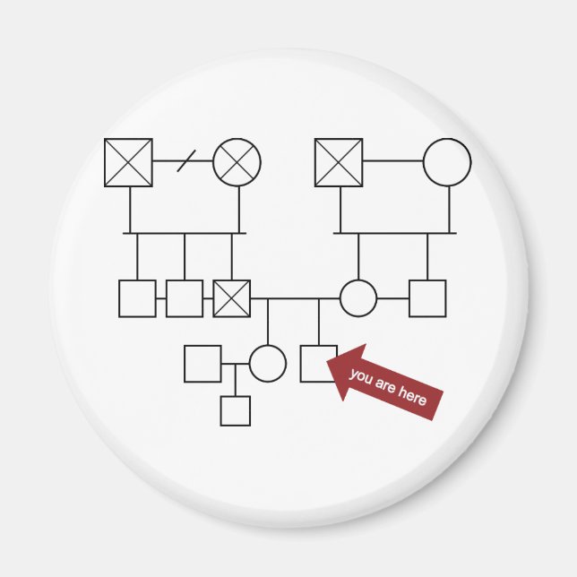 You Are Here Genogram Magnet (Front)