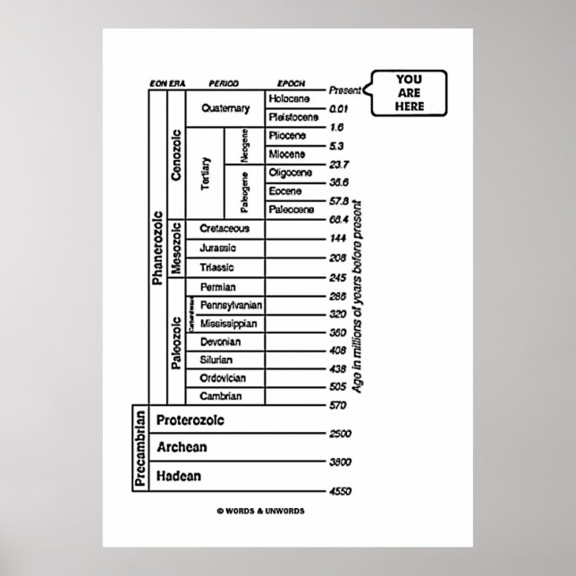 You Are Here (Geological Age Earth's History) Poster (Front)
