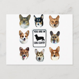 You Are In Corgi Country Postcard