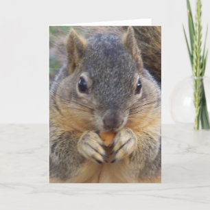 You are invited/ Any Occasion_ Card