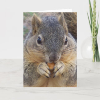 You are invited/ Any Occasion_ Card