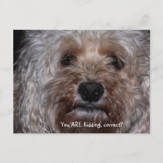 You ARE kidding, correct? Postcard
