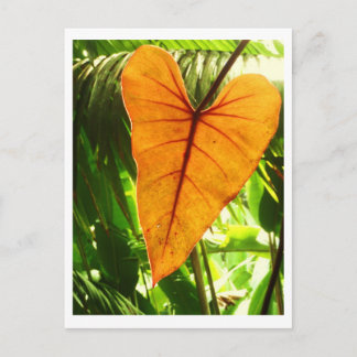 "You Are Loved" Postcard