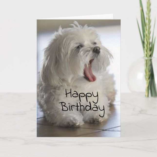 YOU ARE MY **FAVORITE VETERINARIAN** BIRTHDAY CARD (Front)