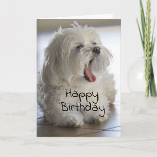 YOU ARE MY **FAVORITE VETERINARIAN** BIRTHDAY CARD