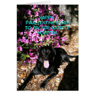 You are my favourite Hooman Valentine's Card