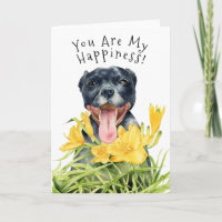 You Are My Happiness | Pit Bull Dog Birthday