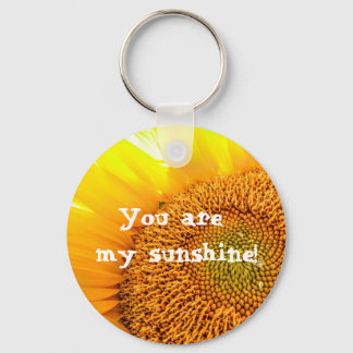 You are my sunshine! key ring