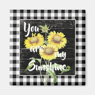 You are my sunshine magnet